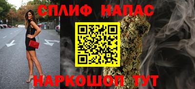 шишки Беслан