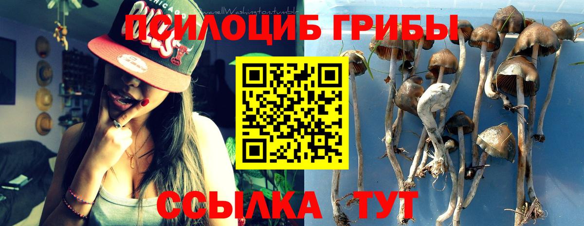 Галлюциногенные грибы Psilocybine cubensis  Вход с VPN  Кизилюрт 